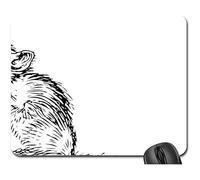 Gaming Mousepad, Souris, Animal, Rongeur, Animal, Collection, Caractère Mouse Pad Antidérapante Tapis De Souris D'Ordinateur Confort Tapis De Bureau pour Pc Souris Professionnels 25X30Cm