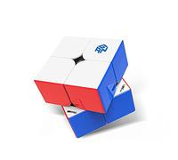 GAN 251MPro-Leap Speed Cube Magnétique 2x2, Mini Cube de Vitesse sans Autocollant, Jeu de Casse-Tête avec 56 Aimants/Axe Magnétique/GESv3/GMSv3/4 Niveaux Elastiques Remplaçables, Cadeau Enfant Adulte