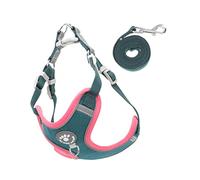GANAZONO 1 Ensemble Harnais pour Chien Réfléchissant de Type Gilet avec Laisse pour Chiens de Moyenne à Confortable et Durable pour Canicross