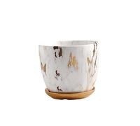 GANAZONO 1 PC Dessus De Bureau Décorations Végétales Mini Conteneurs Décor Botanique Petit Pot De Fleur Jardinière en Marbre Planteur De Poterie Émaillée Pot De Fleur en Céramique Blanche