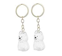 GANAZONO 2 Pièces Porte-clés Chien avec Boîte de Rangement Transparente pour Poils Urne Commémorative Portable Souvenir et Sécurisé pour Mémoire Accessoire Polyvalent pour et Clés Lot