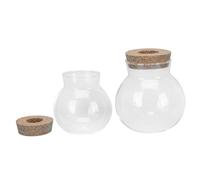 GANAZONO 2pièces Vase Transparent pour Plantes Aquatiques De Vases Décoratifs pour Fleurs Et Écologie pour Décoration De Table Et Intérieur