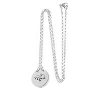 GANAZONO Collier Pendentif Urne Acier Inoxydable pour Cendres de Petit Animal Urne Commémorative Légère et Ornement Funéraire pour Souvenir Canine