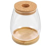 GANAZONO Vase Succulent Verre Transparent pour Hydroponie Porte-Bougie Élégant Décoration Salon et Bureau Contenant Fleur Minimaliste et Moderne