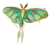 GANCEI Décoration de fenêtre en forme de papillon et de tournesol en vert, cadeau créatif moderne pour la maison, le jardin, décoration légère avec reflet de la lumière du soleil (papillon vert)