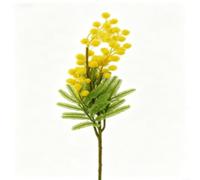 GANCEI Fleurs d'acacia artificielles réalistes pour décoration d'intérieur, fleurs de mimosa artificielles élégantes avec texture douce au toucher, centre de table Albizia en soie jaune pour fête de