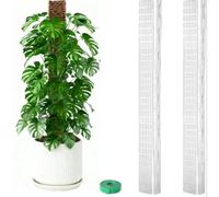 GANCEI Lot de 4 bâtons de mousse en plastique en forme de D de 61 cm pour plantes grimpantes avec support de croissance verticale, compatible avec la mousse de sphaigne, transparent, lot de 4 (2