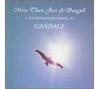 Gandalf - More Than Just a Seagull
