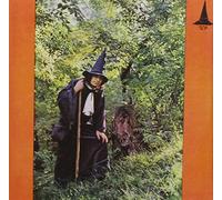 Gandalf the Grey - Grey Wizard Am I