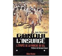 Gandhi l'insurgé L'épopée de la marche du sel - Jean-Marie Muller - Albin Michel - broché - Livre