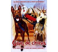 Gang de chiens