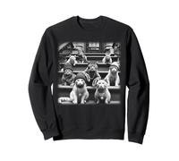 Gang of Feral Street Cats Gangster, mème Amusant des années 90 Sweatshirt