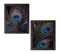 Gango Home Decor Gorgeous Blue Brown and Green Peacock Feather Photograph Print Print Set; Deux impressions encadrees noires 11x14. Bleu / vert /
