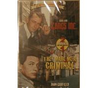 Gangs Inc. / They Made Me A Criminal