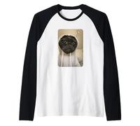 Gangsta Kitty Gangster Black Cat Meme Funny Cats Gang Humor Manche Raglan