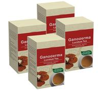 Ganoderma Lucidum Tea - Infusion De Champignons Reishi For L'immunité Et La Vitalité - 20 Sachets (3 G Chacun)(4pcs)