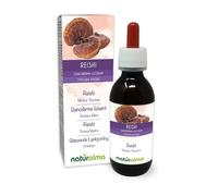 Ganoderme luisant ou Reishi (Ganoderma lucidum) champignon Teinture Mère sans alcool Naturalma - Extrait liquide gouttes 120 ml - Complément alimentaire - Végétalien ou végan