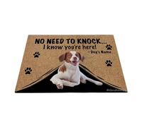 Ganshan Bi Paillasson personnalisé avec chien amusant épagneul breton tapis de sol « No Need to Knock I Know You're Here » - Cadeau pour les amoureux des chiens - 60 x 40 cm - Style 2