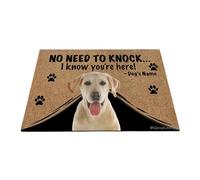 Ganshan Bi Paillasson personnalisé avec chien amusant labrador « No Need to Knock I Know You're Here » - Cadeau pour les amoureux des chiens - 70 x 45 cm - Style 4