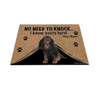 Ganshan Bi Paillasson personnalisé avec chien drôle Cavalier King Charles Tapis de sol de bienvenue Pas besoin de frapper Je sais que vous êtes ici cadeau pour les amoureux des chiens 27,5" x 17,7",