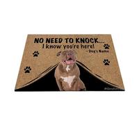 Ganshan Bi Paillasson personnalisé avec chien drôle pitbull nez rouge tapis de sol de bienvenue pas besoin de frapper Je sais que vous êtes ici cadeau pour amoureux des chiens 27,5 "x 17,7", style 1