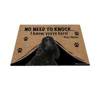 Ganshan Bi Paillasson personnalisé avec cocker amusant pour chien, tapis de sol de bienvenue, pas besoin de frapper Je sais que vous êtes ici cadeau pour les amoureux des chiens 35,4" x 23,6", style 2