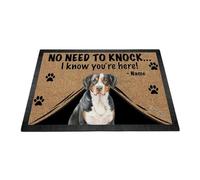 Ganshan Bi Tapis de porte personnalisé avec aquarelle chien montagne chien bienvenue tapis de sol pas besoin de frapper Je sais que vous êtes ici cadeau pour les amoureux des chiens 35,4" x 23,6"