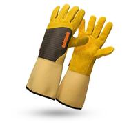 Gant de protection épines et ronces roncier - rostaing - 11 - xxl