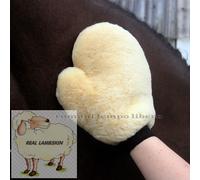 Gant En Agneau Naturel de Toiletteurs Gant Real Repéré