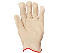 Gant EUROSTRONG 1110 beige - COVERGUARD - MO1110 T10