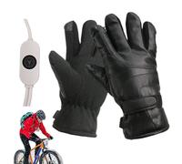 Gants chauffants d'hiver - Gants de ski chauffants, gants chauds pour écran tactile | Gants chauffants polyvalents, gants chauds pour l'extérieur pour la pêche, la chasse et le froid pour hommes