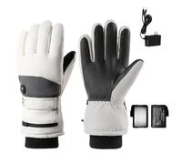 Gants Chauffants Moto pour Femme et Homme, Gants de Ski Chauffants, avec Batterie Rechargeable, Imperméables Écran Tactile pour L'hive Sports - Randonnée Alpinisme Vélo(White+Gray-5000mAh-No Box,L)