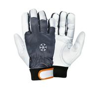 Gants d'atelier Cofra Coldext (x12) Noir Taille 9