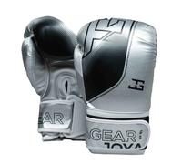 Gants de boxe Joyagear Evolution Argenté 14 oz