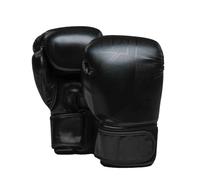 Gants de boxe Joyagear Evolution Noir 10 oz
