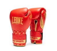 Gants de boxe Leone DNA Rouge 14 oz