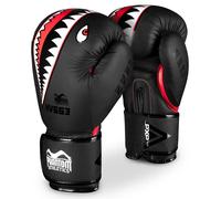 Phantom Gants de Boxe Fight Squad | MMA Thai Boxing Gloves | Hommes (Fight Squad - Noir, 14 Oz)