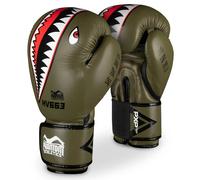 Gants de boxe Phantom Athletics Fight Squad Vert 14 oz