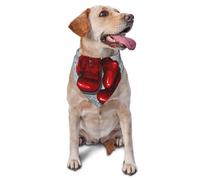 Gants de Boxe Rouges, Bandanas pour Chiens, écharpes pour Chats et Chiots, mouchoirs lavables pour Animaux de Compagnie