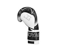 Gants de kickboxing Evolution 14oz Noir et blanc