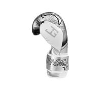 Gants de kickboxing Evolution 16oz Argent