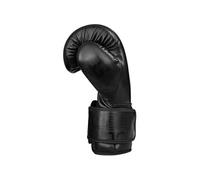 Gants de kickboxing Evolution 16oz Noir