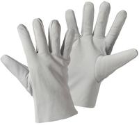 Gants de protection L+D worky 1700-8 Cuir nappa EN 388 RISQUES MECANIQUES 3123 Taille 8 (M) G