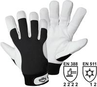 Gants de protection Leipold Doehle 1707-8 Paume de la main : Cuir Nappa ; Dessus de la main : élasthanne EN 388 + EN 511 Taille 8 (M)