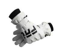 Gants de ski - 27,50 x 12 cm - Gants de neige antidérapants pour écran tactile avec paume rembourrée à haute densité - Gants d'hiver pour homme et femme - Pour snowboard, cyclisme, course à pied