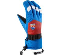 Gants de ski Viking Brother Louis Bleu Taille 7