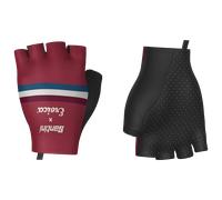 Gants Santini x Eroica Timo bordeaux - M