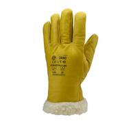 Gants Eurowinter Islande MO2486 - contre le froid - T11 Coverguard