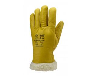 Gants Eurowinter Islande MO2486 - contre le froid - T6 Coverguard