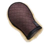 Gants nettoyant Werner Christ Horse Marron TU